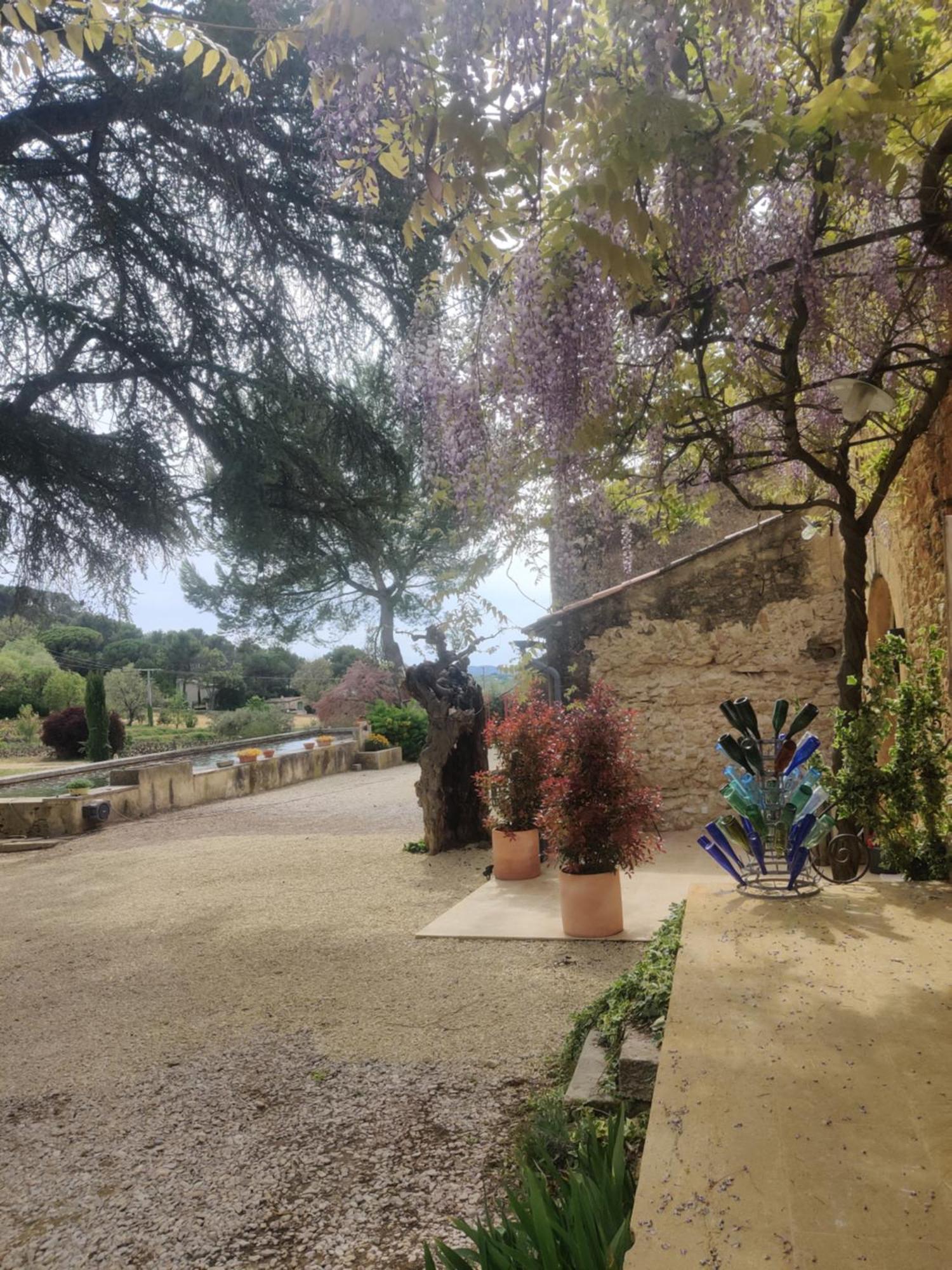 לורמרן Charme Et Authenticite Dans Une Ferme. מראה חיצוני תמונה